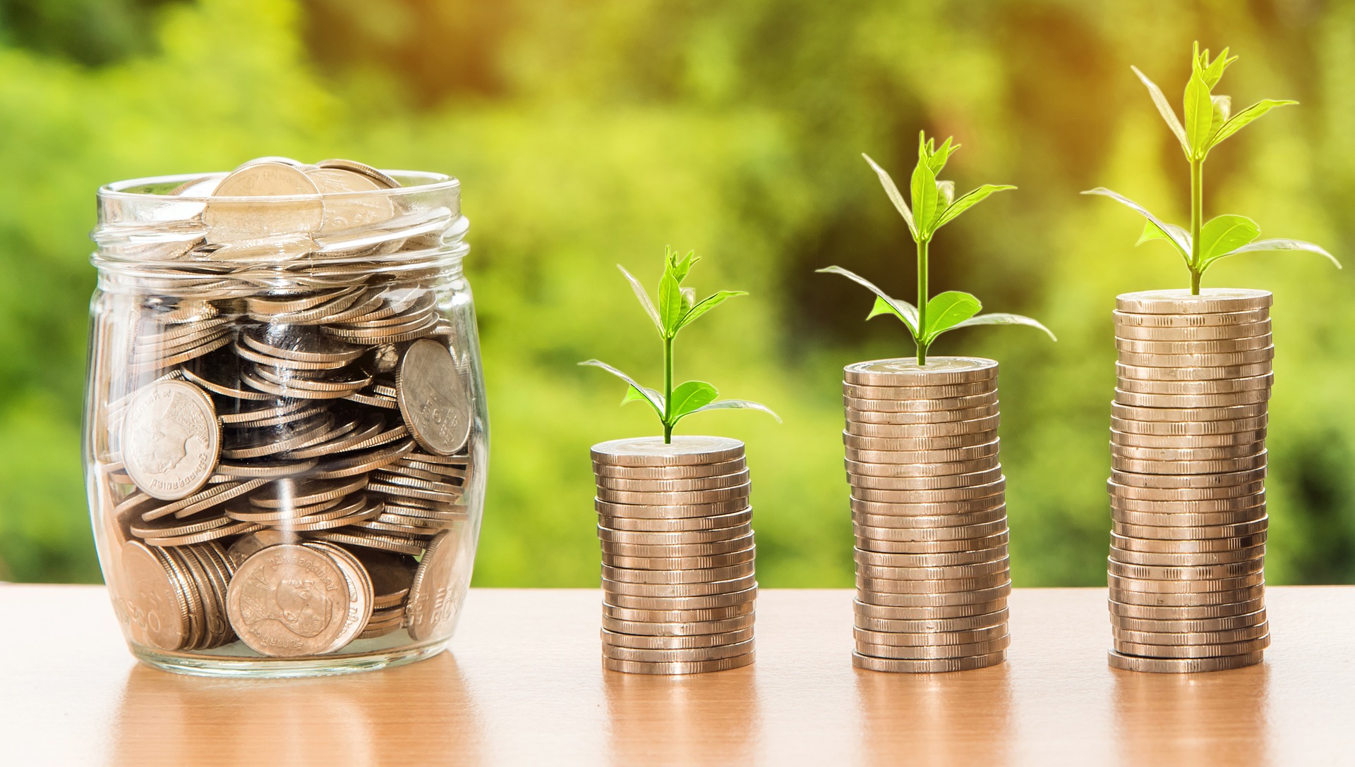 Coin jar with plants